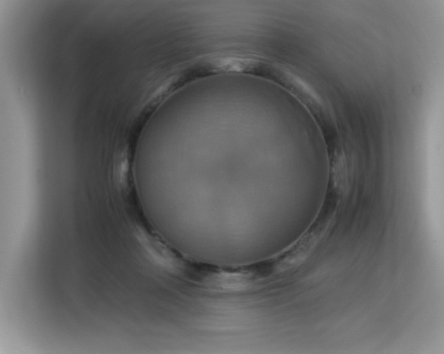 X0000113110314200908281414