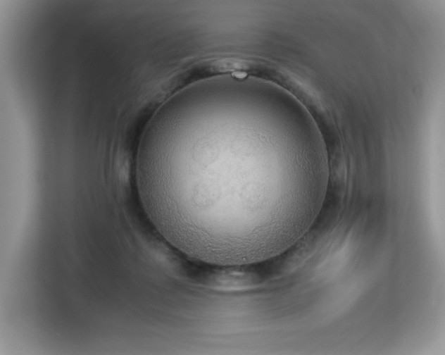 X0000113110315200908281414