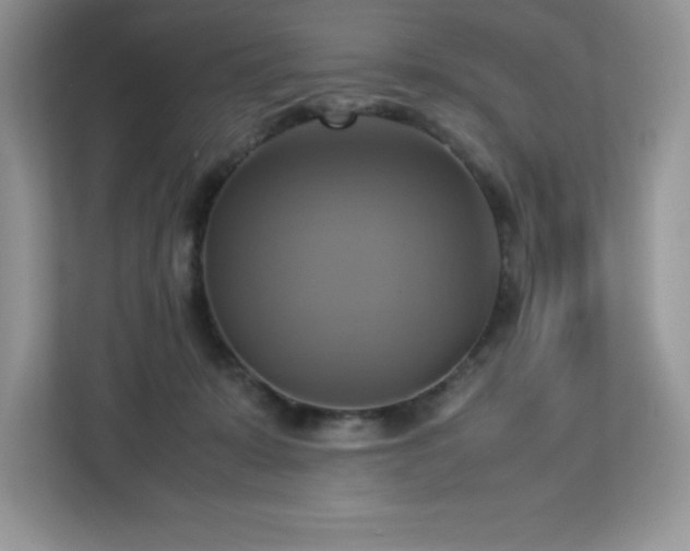 X0000113110319200908281414