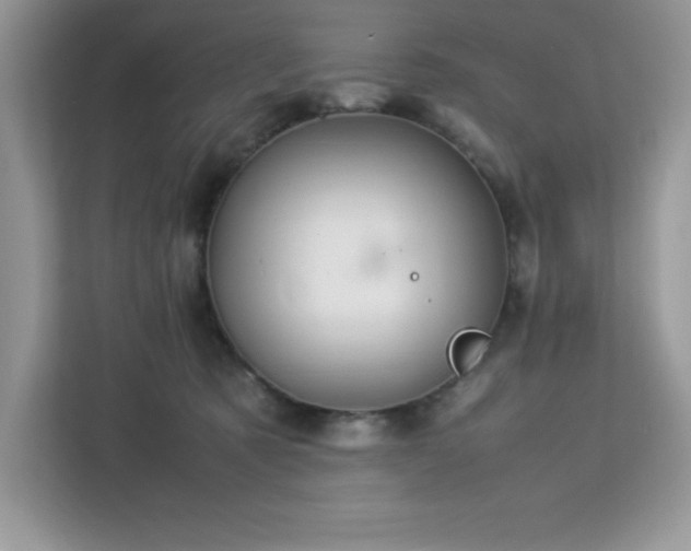 X0000113110321200908281414