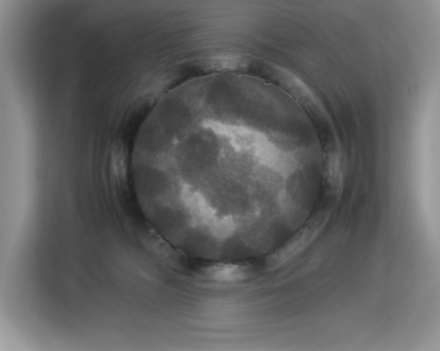 X0000113110326200908281414
