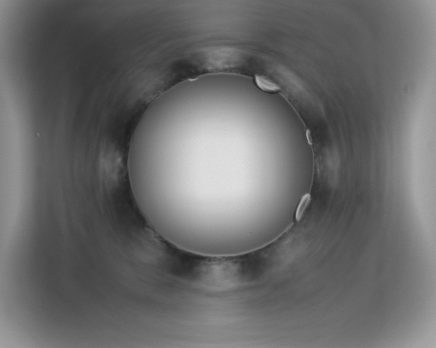X0000113110327200908281414