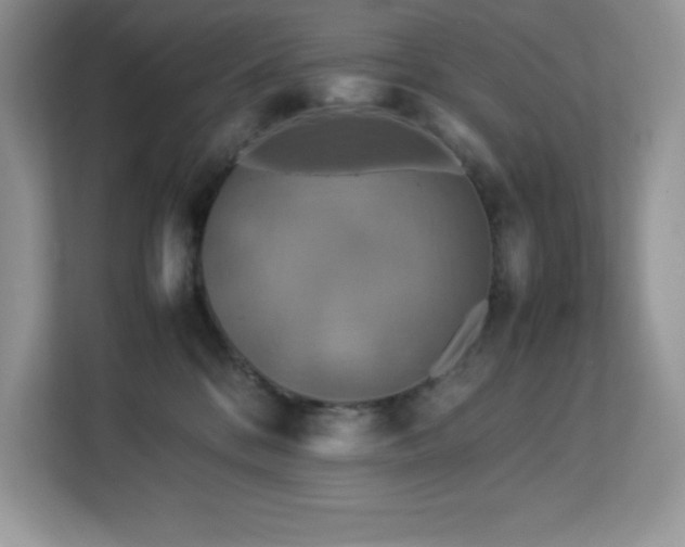 X0000113110328200908281414