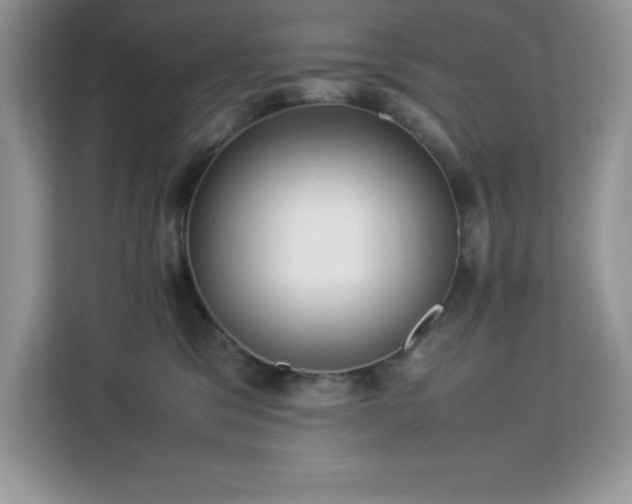 X0000113110329200908281414