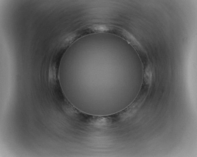 X0000113110330200908281414