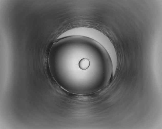X0000113110332200908281414