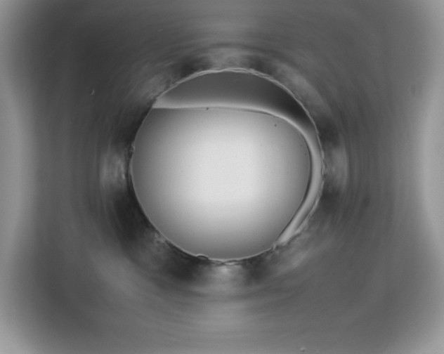 X0000113110333200908281414