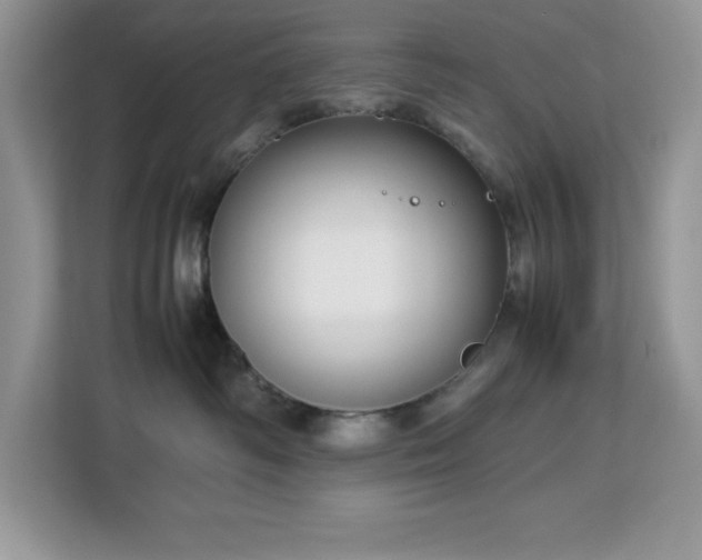 X0000113110334200908281414