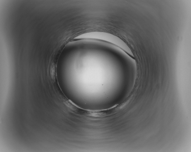 X0000113110336200908281414