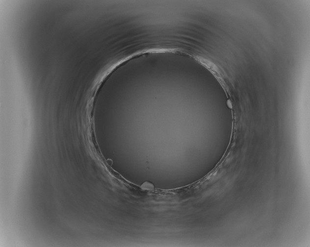X0000113110337200908281413