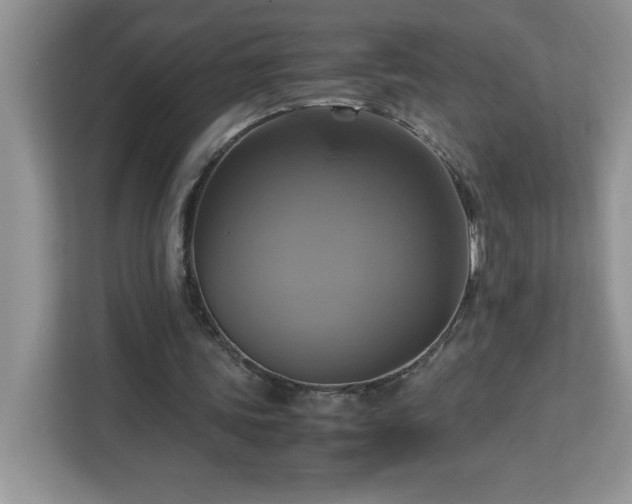 X0000113110339200908281413
