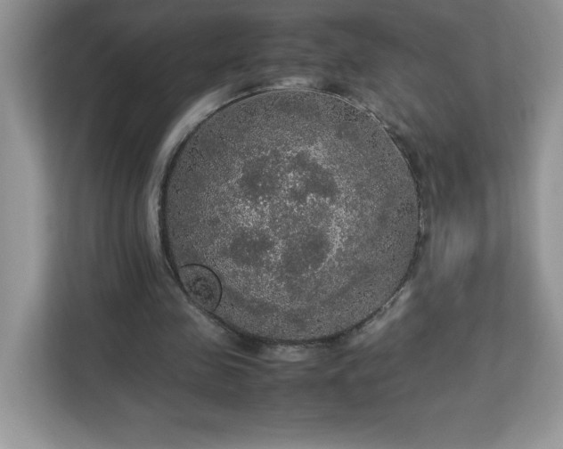 X0000113110341200908281413