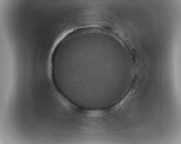 X0000113110342200908281413