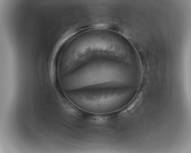 X0000113110343200908281413