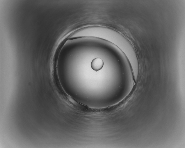X0000113110344200908281413