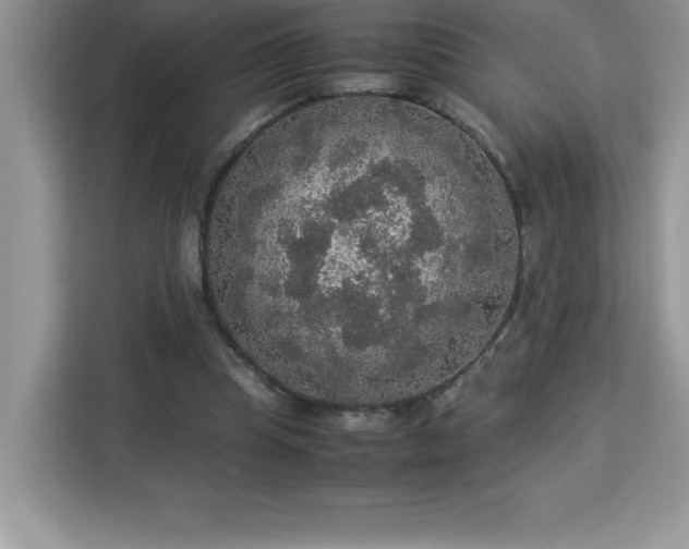 X0000113110345200908281413