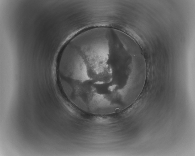X0000113110346200908281413