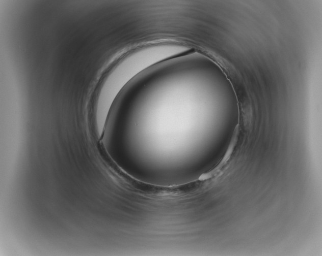 X0000113110350200908281413