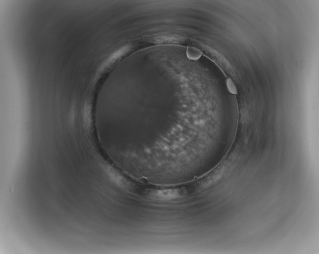 X0000113110353200908281413
