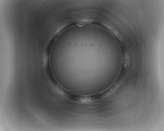 X0000113110355200908281413