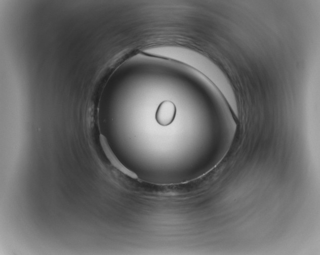 X0000113110356200908281413
