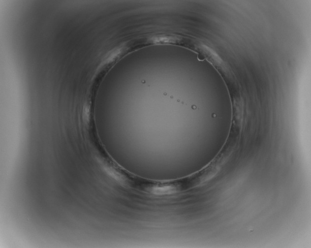X0000113110357200908281413