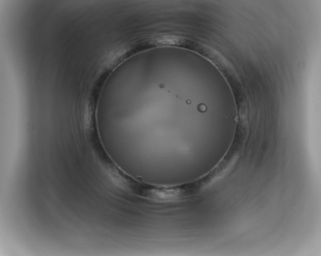 X0000113110359200908281413