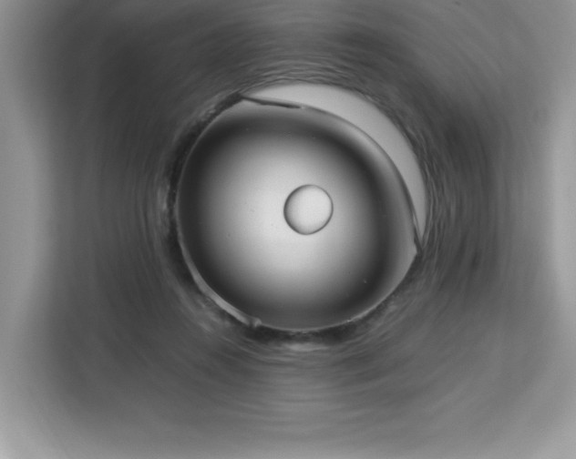 X0000113110360200908281413