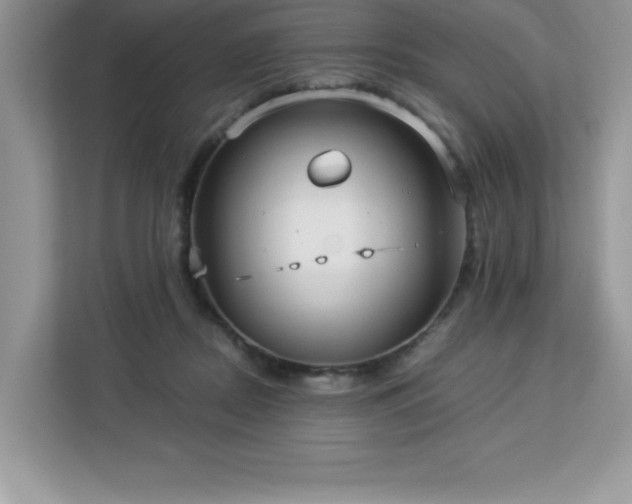 X0000113110362200908281413