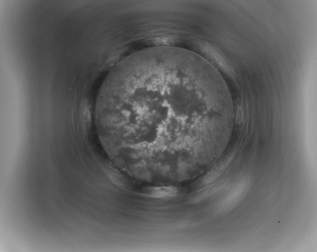 X0000113110363200908281413