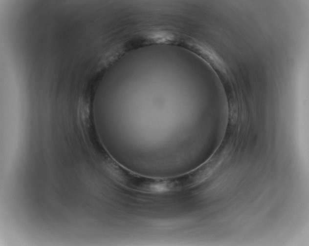 X0000113110365200908281413