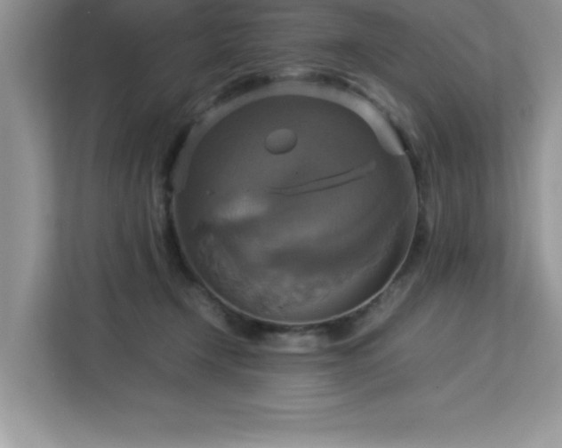 X0000113110366200908281413