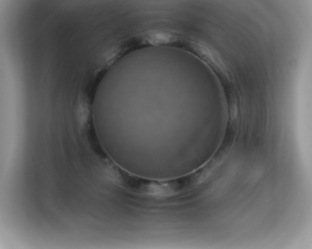 X0000113110367200908281413