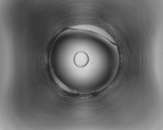 X0000113110368200908281413