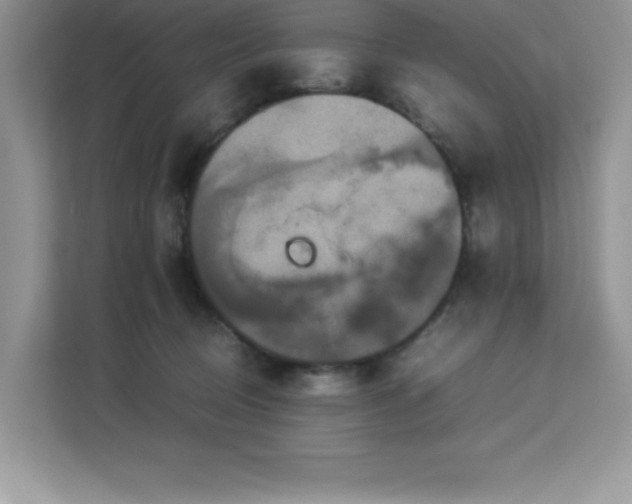 X0000113110370200908281413