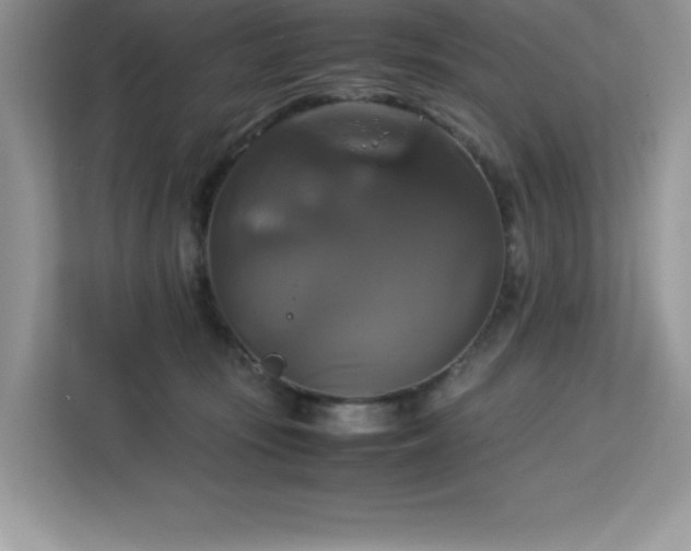 X0000113110371200908281413