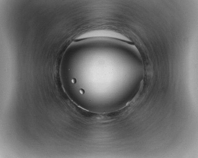 X0000113110372200908281413