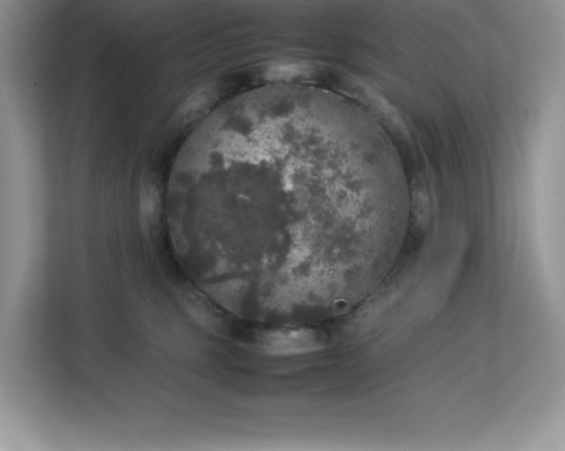 X0000113110375200908281414