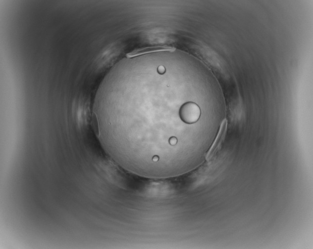 X0000113110376200908281414