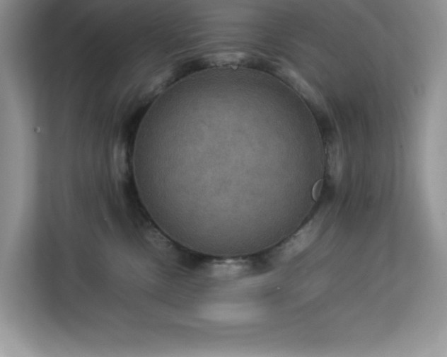 X0000113110378200908281414