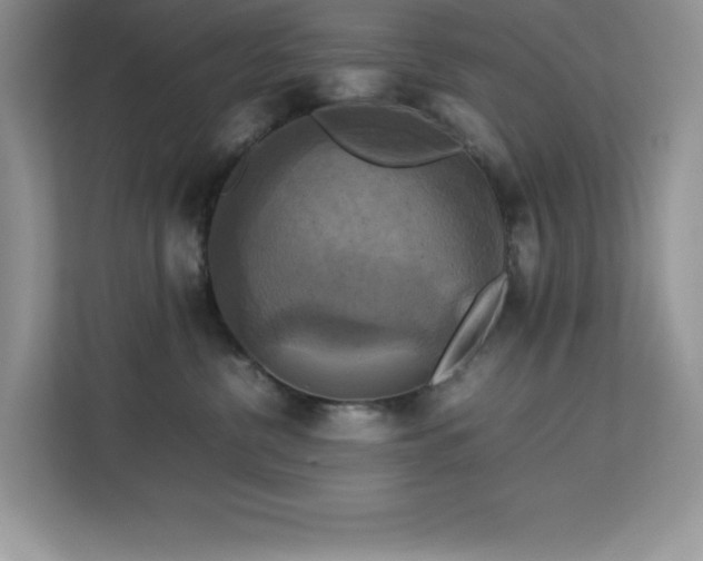 X0000113110380200908281414