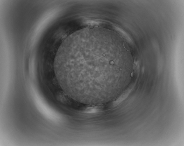 X0000113110381200908281414