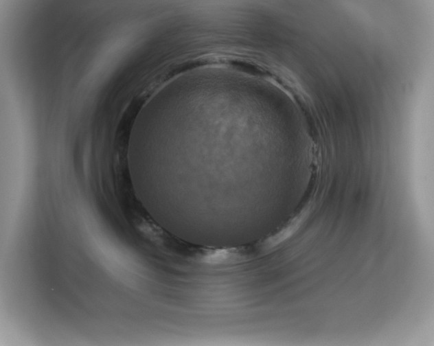 X0000113110382200908281414