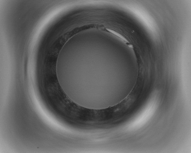 X0000113110383200908281414