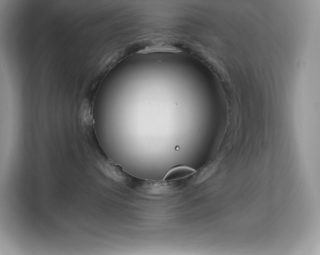 X0000113110384200908281414