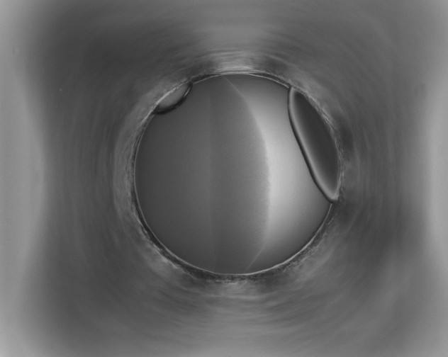 X0000113110385200908281413