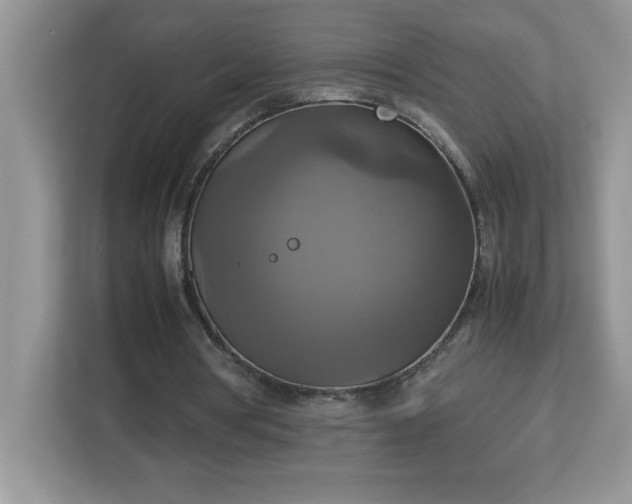 X0000113110386200908281413