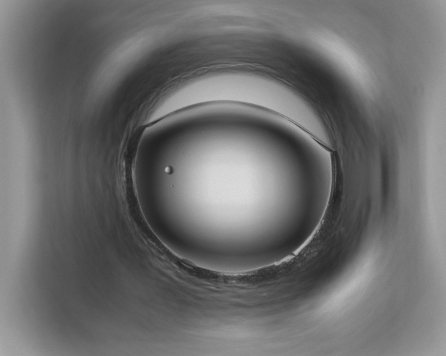 X0000113110387200908281413