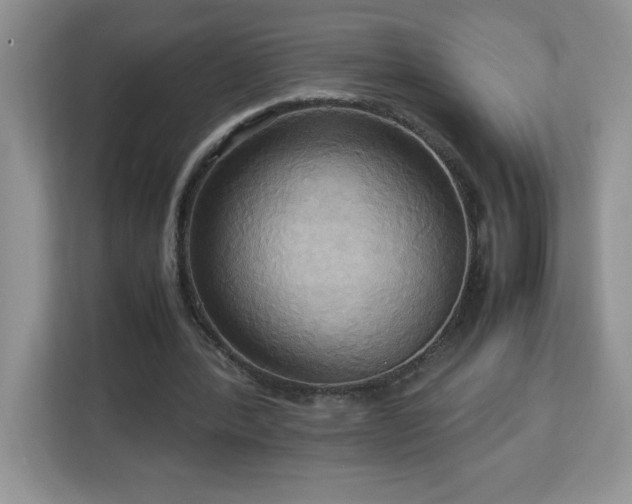 X0000113110388200908281413