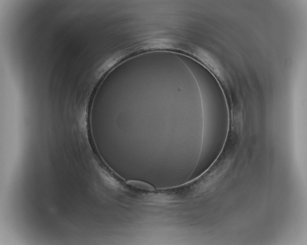 X0000113110389200908281413